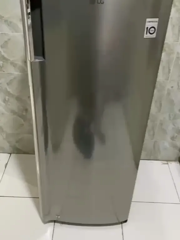 LG single door inverter fridge